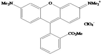 5f212b83494e6.png image.png