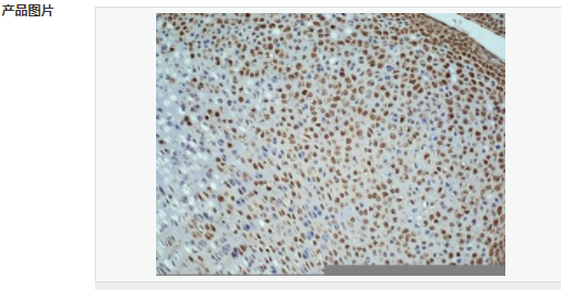 6052b0867cf91.png image.png