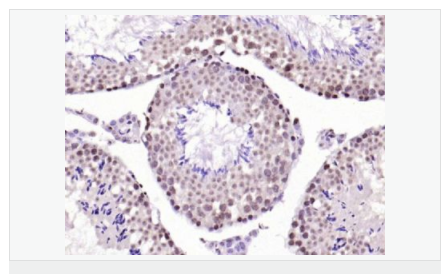 6052bc297dbe0.png image.png