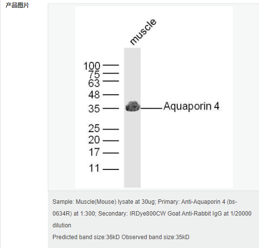 605446f22f23b.png image.png