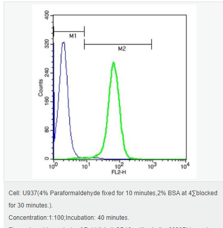 60544c1033fd2.png image.png