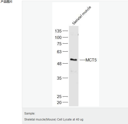 6057fcd905ee7.png image.png