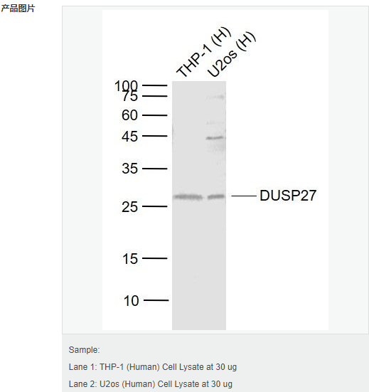 60580373ab243.png image.png