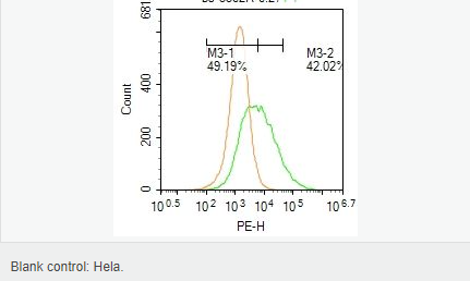 60582d4aed6a4.png image.png