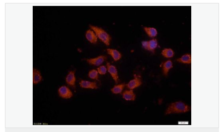 605851284440f.png image.png