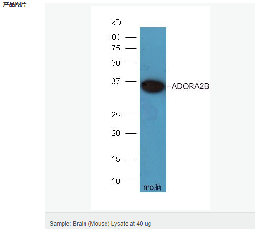 605940ee03594.png image.png