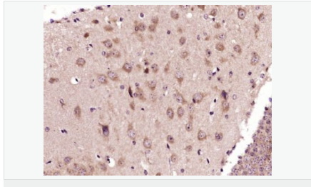 6059412023d8d.png image.png