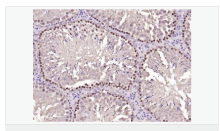 6059521a83a53.png image.png