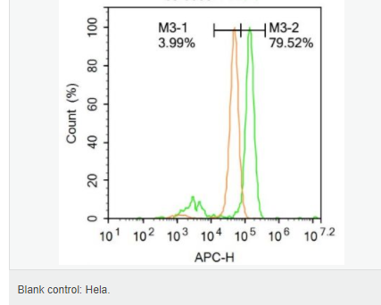 605acd82721a3.png image.png