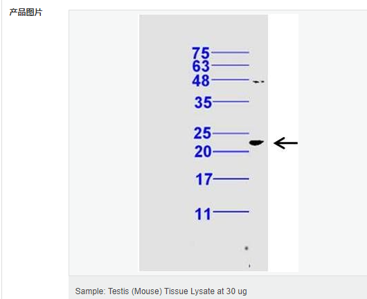 605c44ee1cfe7.png image.png