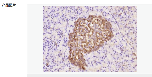 605d83b997524.png image.png