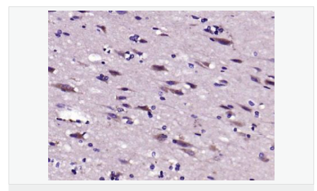 605d865f34d1e.png image.png