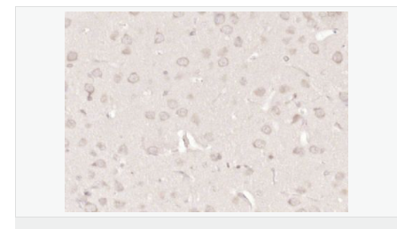 605d87f599954.png image.png