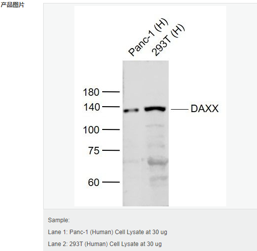 605d90db250c1.png image.png