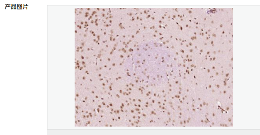 6063d5ac5ec73.png image.png