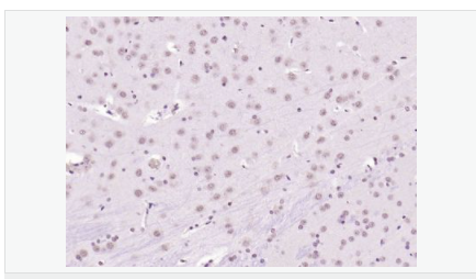 606531fd4f530.png image.png