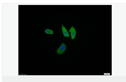 60667985d20da.png image.png