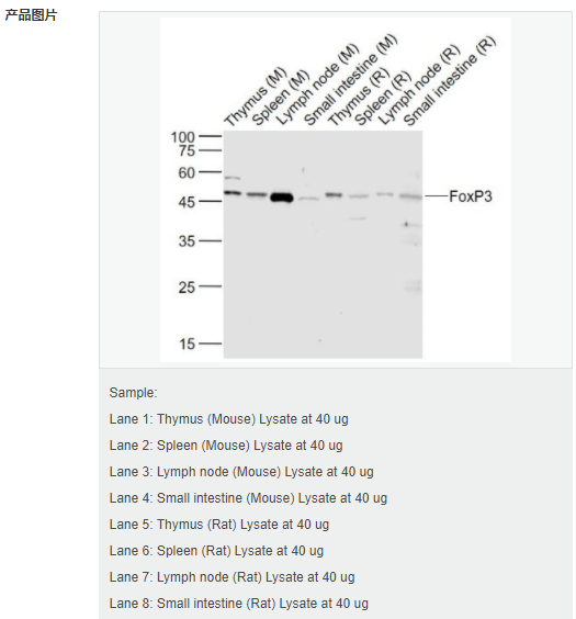 6066acc52d722.png image.png