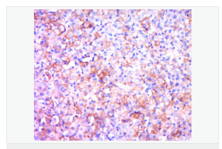 6066ae4fe440f.png image.png