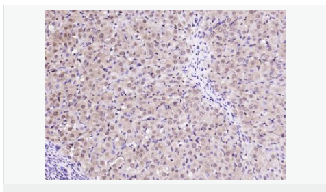 6066ba45e3703.png image.png