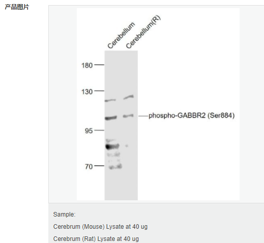 6066cc3b70d6c.png image.png