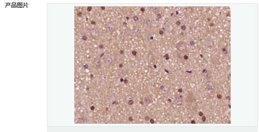 606bb7d93b9c7.png image.png