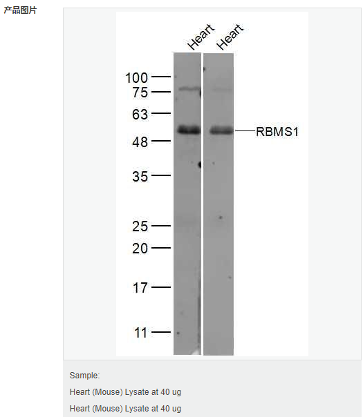 606bc92a39510.png image.png