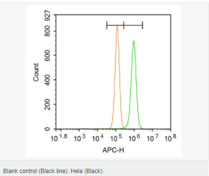 6076469b18318.png image.png