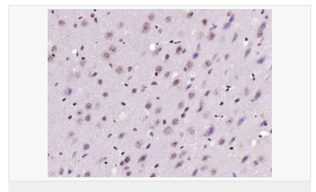 6076562d54a39.png image.png