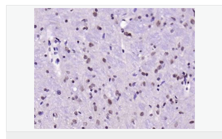 6076563a5b931.png image.png