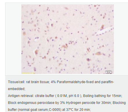 607657e76c1d5.png image.png