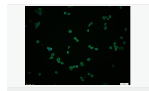 60765d2704973.png image.png