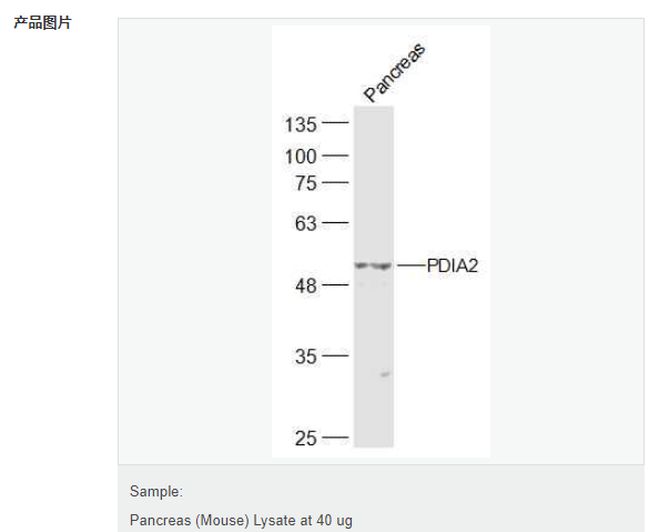 6078ef303aead.png image.png