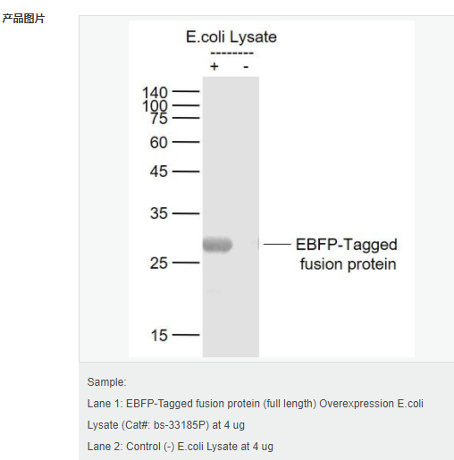 607951d48843c.png image.png