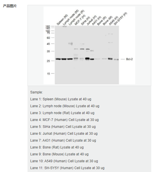 607d20f5736f6.png image.png