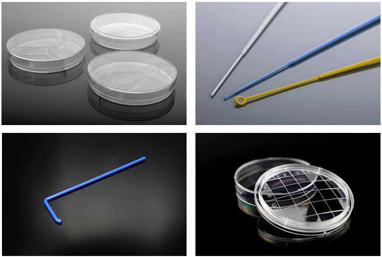 613582ad9fa19.png 613582ad9fa19.png