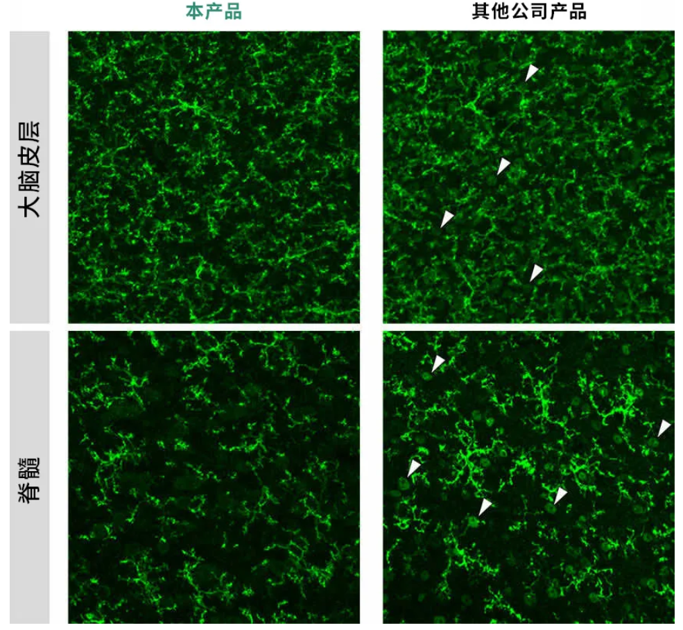 67ab00adca94e.png image.png