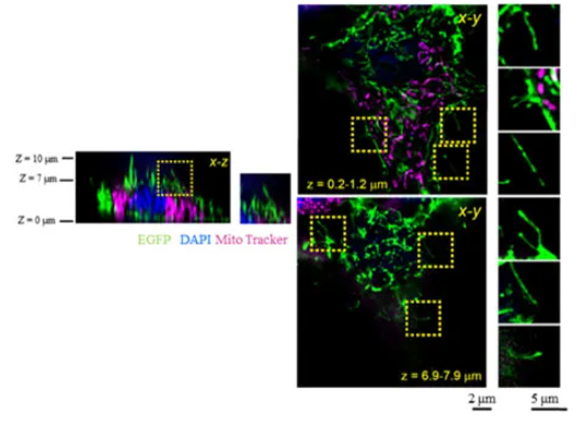 67ab092743371.png image.png