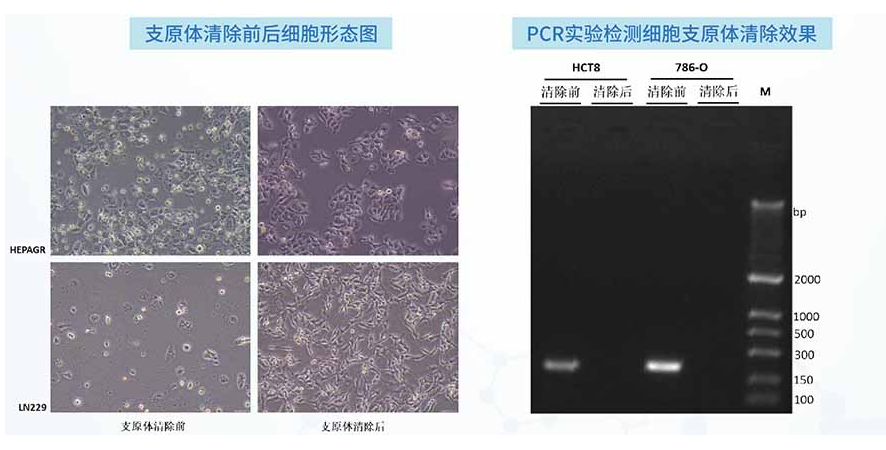 68ea0bb9c7249.png image.png