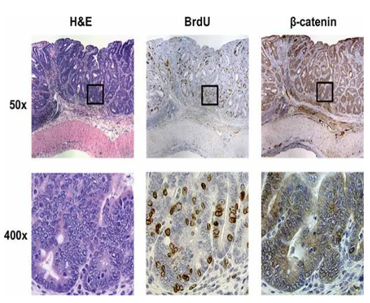 6960aedf3a380.png image.png